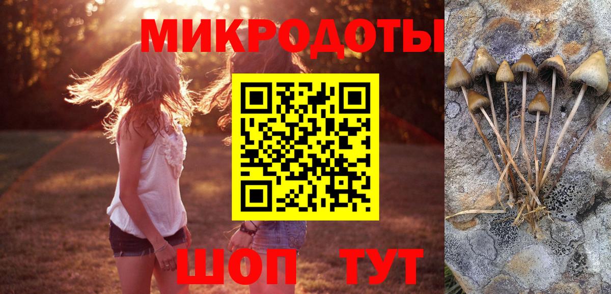 Сафоново  Галлюциногенные грибы прущие грибы  Вход с VPN 