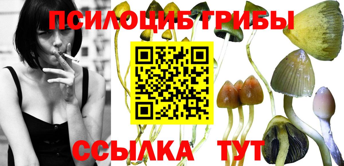 Галлюциногенные грибы ЛСД Сафоново